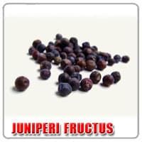 Juniperi-fructus