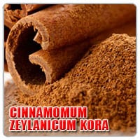 cinnamomum-zeylanicum-kora