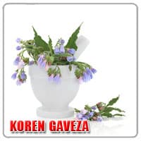 koren-gaveza